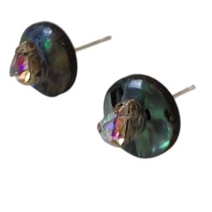 Abalone & Aurora Borealis Crystal Disc Earrings – Iridescent